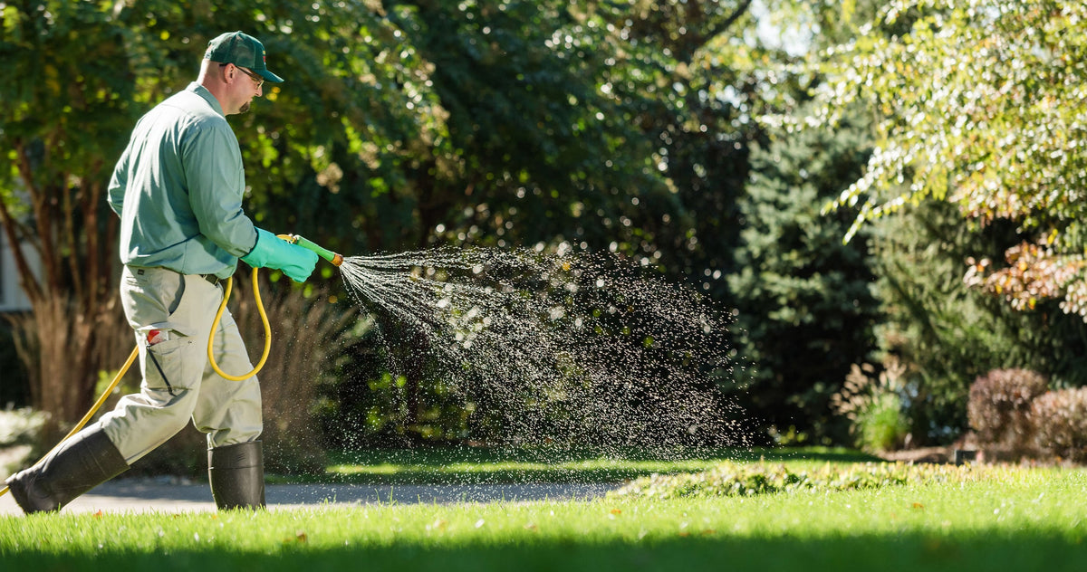 2026 Arbor-Nomics Services