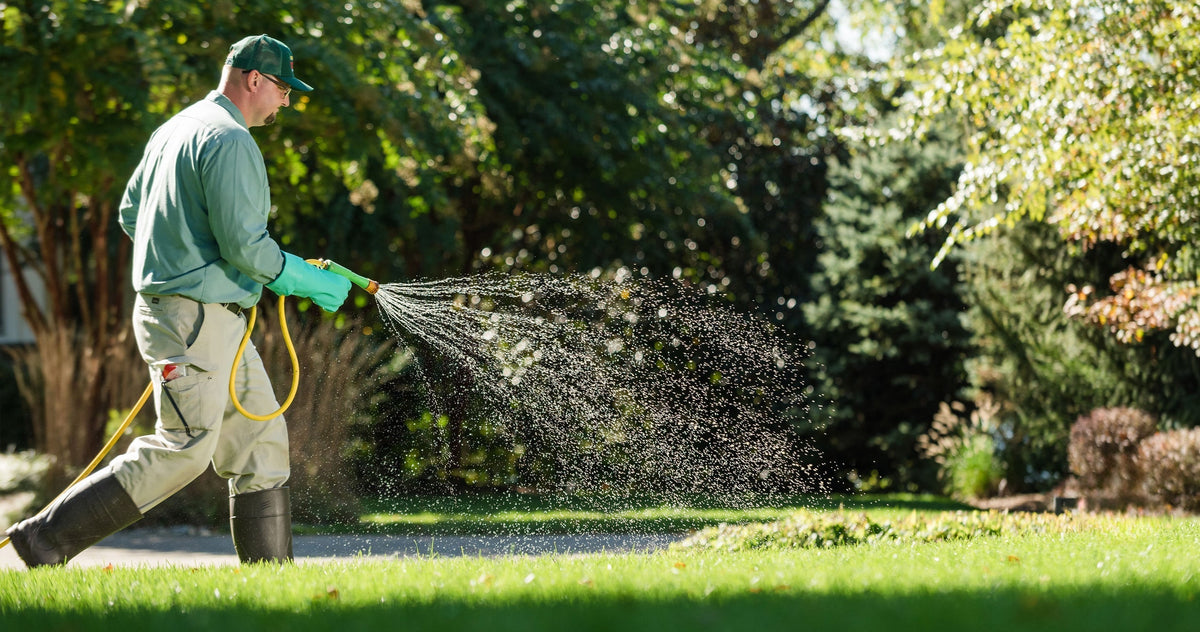 Full Season Lawn Care with a FREE Grub Control
